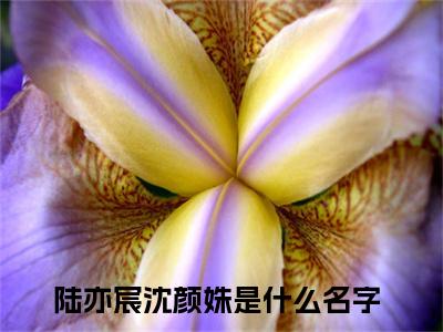 陆亦宸沈颜姝（陆亦宸沈颜姝）全文免费阅读无弹窗大结局_陆亦宸沈颜姝小说陆亦宸沈颜姝最新章节列表_笔趣阁(陆亦宸沈颜姝）