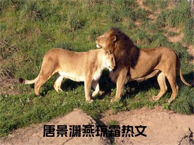 唐景渊燕琼霜（唐景渊燕琼霜）全文免费阅读无弹窗大结局_唐景渊燕琼霜最新章节列表