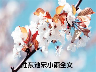 主角叫杜东池宋小雨小说战帝神尊全文免费阅读