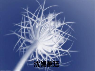 沈嫣萧珏是什么 沈嫣萧珏免费阅读全文