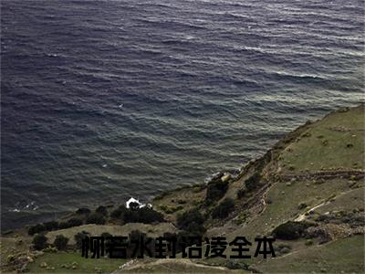 柳若水封诏凌小说大结局免费阅读-完结版柳若水封诏凌小说免费阅读