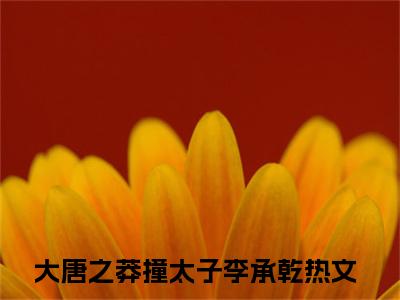 《大唐之莽撞太子李承乾》全文免费阅读无弹窗大结局-大唐之莽撞太子李承乾 全文全章节免费阅读