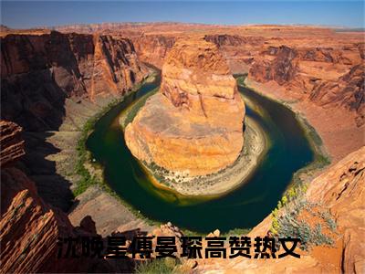 沈晚星傅晏琛（沈晚星傅晏琛）全文免费阅读无弹窗大结局_沈晚星傅晏琛最新章节列表_笔趣阁（沈晚星傅晏琛）