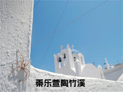 秦乐萱陶竹溪在线阅读（秦乐萱陶竹溪）全文免费阅读无弹窗大结局_秦乐萱陶竹溪免费最新章节列表_笔趣阁（秦乐萱陶竹溪）