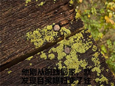 （顾之彰沈梨清）全文免费阅读-顾之彰沈梨清（他刚从前线回家，就发现自家媳妇变了性情）最新章节列表阅读