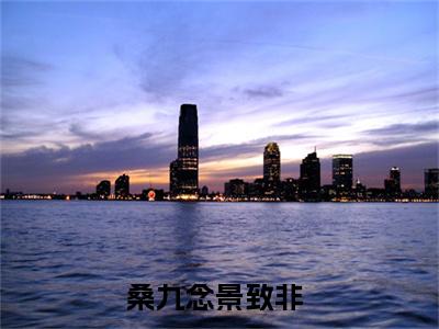 （桑九念景致非）全文免费阅读无弹窗大结局_（桑九念景致非阅读无弹窗）桑九念景致非最新章节列表_笔趣阁（桑九念景致非）