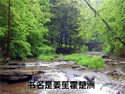 姜笙霍楚洲（姜笙霍楚洲）全文免费阅读无弹窗大结局_（姜笙霍楚洲无弹窗）_笔趣阁