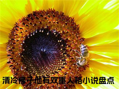 温宁祁思远（清冷佛子他有双重人格 ）全文免费阅读_温宁祁思远言诺诺,井傅宸 小说最新章节列表笔趣阁