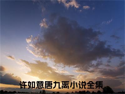 许如意唐九离小说无广告免费阅读无删减