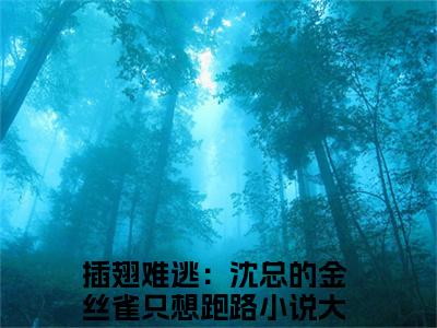 沈晏温荡（沈晏温荡）小说在线阅读_沈晏温荡全本免费小说阅读（插翅难逃：沈总的金丝雀只想跑路）