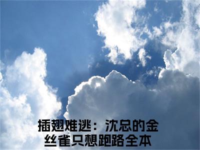 插翅难逃：沈总的金丝雀只想跑路小说全文免费阅读-沈晏温荡在线阅读的小说完整版
