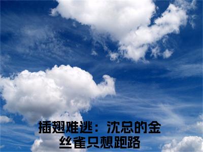 沈晏温荡（插翅难逃：沈总的金丝雀只想跑路全章节完整版）免费阅读_（插翅难逃：沈总的金丝雀只想跑路）沈晏温荡全文无删减免费阅读