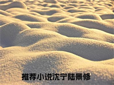 沈宁陆景修小说全文免费阅读_（沈宁陆景修）我，科研大佬，在七零当军嫂最新章节列表笔趣阁