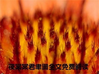 夜棠棠君聿渊（夜棠棠君聿渊）全文免费阅读无弹窗大结局_ (夜棠棠君聿渊小说免费阅读)最新章节列表_笔趣阁（夜棠棠君聿渊）