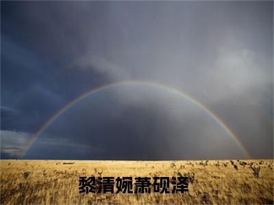 黎清婉萧砚泽全文免费大结局小说-黎清婉萧砚泽全文最新章节阅读