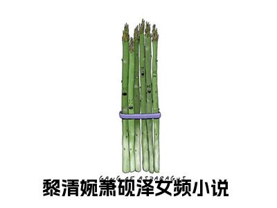 黎清婉萧砚泽（黎清婉萧砚泽）全文免费阅读无弹窗大结局-黎清婉萧砚泽全文未删减阅读（黎清婉萧砚泽）