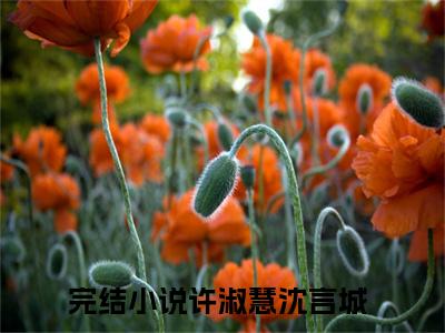 许淑慧沈言城小说(许淑慧沈言城)全文免费阅读无弹窗大结局 许淑慧沈言城小说全文无删减版