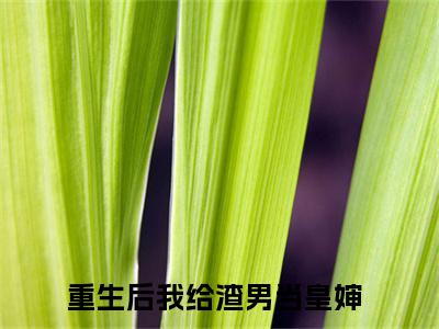 薛锦若盛景泽（重生后我给渣男当皇婶）免费阅读-小说（薛锦若盛景泽）重生后我给渣男当皇婶全文阅读