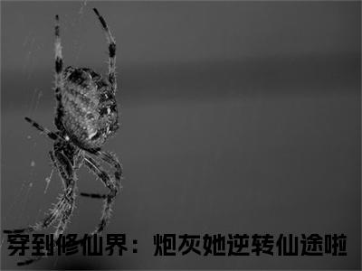 时墨顾雨菲全文免费阅读（穿到修仙界：炮灰她逆转仙途啦）全文免费阅读大结局_时墨顾雨菲全文免费阅读无弹窗_笔趣阁（穿到修仙界：炮灰她逆转仙途啦）