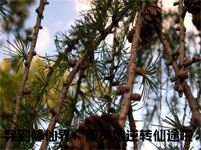 时墨顾雨菲全文免费阅读（穿到修仙界：炮灰她逆转仙途啦）全文免费阅读大结局_时墨顾雨菲全文免费阅读无弹窗_笔趣阁（穿到修仙界：炮灰她逆转仙途啦）