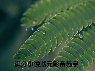 状元影帝苏宇（状元影帝苏宇）全文完整版免费阅读_（状元影帝苏宇全文免费阅读）最新章节列表