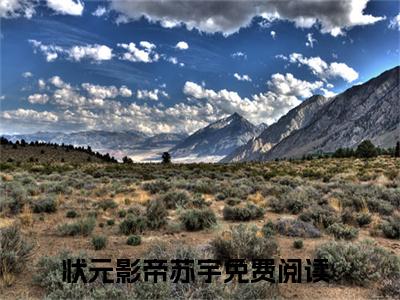 状元影帝苏宇小说全文免费阅读无弹窗-（状元影帝苏宇阅读无弹窗）穿越小说免费阅读_笔趣阁