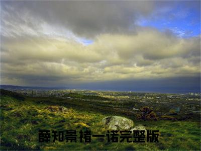 薛知景褚一诺全文免费阅读无弹窗大结局-薛知景褚一诺全文在线阅读最新章节列表_笔趣阁