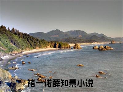 (热推新书)褚一诺薛知景全文免费阅读无弹窗大结局-褚一诺薛知景最新章节列表_笔趣阁（褚一诺薛知景）