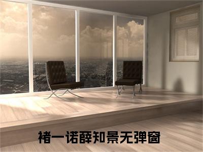 褚一诺薛知景（褚一诺薛知景）全文免费阅读无弹窗_褚一诺薛知景最新小说_笔趣阁（褚一诺薛知景）