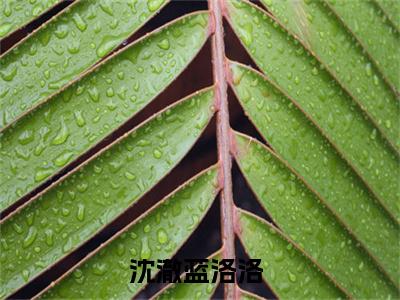 沈澈蓝洛洛抖音热推小说全集无删减沈澈蓝洛洛最新章节列表免费阅读_（沈澈蓝洛洛）最新章节列表笔趣阁