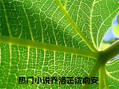 乔洛芷沈俞安免费阅读（乔洛芷沈俞安）全文免费阅读无弹窗大结局_乔洛芷沈俞安免费阅读最新章节列表_笔趣阁
