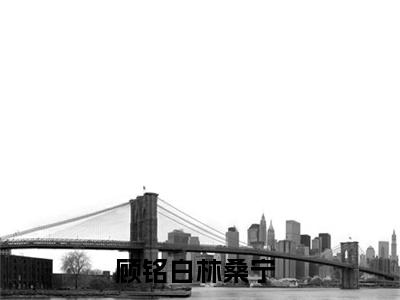 顾铭白林桑宁（顾铭白林桑宁）最新热点小说-知乎小说顾铭白林桑宁