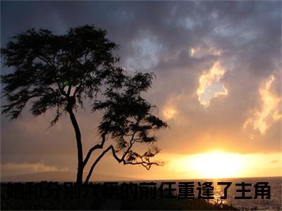 （她和分别六年的前任重逢了）程意瑜傅怀湛小说小说免费她和分别六年的前任重逢了读无弹窗最新章节列表_笔趣阁（程意瑜傅怀湛）