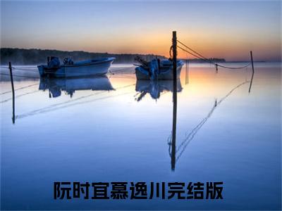 阮时宜慕逸川小说（阮时宜慕逸川）全文免费阅读无弹窗_阮时宜慕逸川（阮时宜慕逸川小说）最新章节列表_笔趣阁（阮时宜慕逸川）
