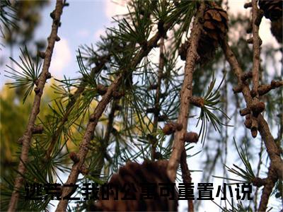 薛杉杉李季同精选小说大结局阅读_（逃荒之我的公寓可重置）薛杉杉李季同免费阅读最新章节列表