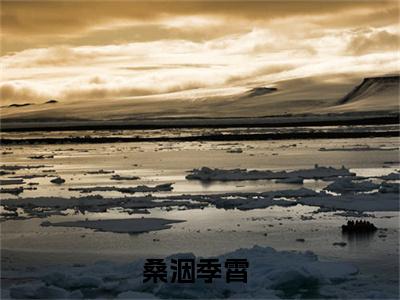 桑洇季霄(桑洇季霄)全文免费桑洇季霄读无弹窗大结局_ 桑洇季霄无弹窗最新章节列表_笔趣阁