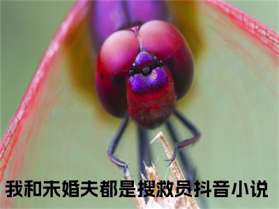 司柠季宴礼小说免费下载（司柠季宴礼完整全集已完结大结局小说）_我和未婚夫都是搜救员免费阅读笔趣阁