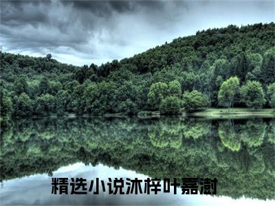 【新书】《沐梓叶嘉澍》沐梓叶嘉澍全文全章节免费阅读