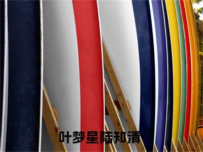 叶梦星陆知清(叶梦星陆知清)全文免费阅读无弹窗大结局_(叶梦星陆知清)叶梦星陆知清无弹窗最新章节列表_笔趣阁(叶梦星陆知清)