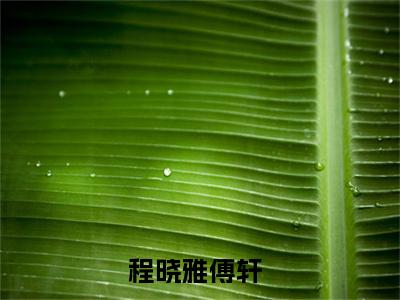 爱你过期不候小说最新试读_程晓雅傅轩是(爱你过期不候全文完整版免费阅读)_笔趣阁