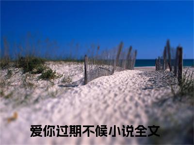 程晓雅傅轩最新章节（爱你过期不候小说）全文免费阅读无弹窗大结局_爱你过期不候小说免费阅读（程晓雅傅轩）