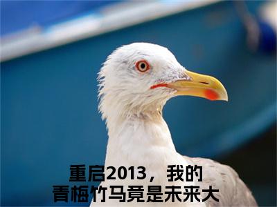 苏宇小说全文免费阅读_（苏宇）重启2013，我的青梅竹马竟是未来大佬最新章节列表笔趣阁