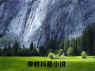 中东商贩阅读无弹窗大结局_季岩穿越小说免费阅读_笔趣阁