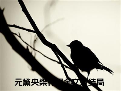 元黛央梁行煜（元黛央梁行煜）全文免费阅读无弹窗大结局_元黛央梁行煜最新章节列表_笔趣阁（元黛央梁行煜）