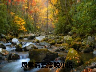 周聿深姜念晚小说最新章节（周聿深姜念晚）全文免费阅读无弹窗大结局_周聿深姜念晚免费阅读（周聿深姜念晚小说）