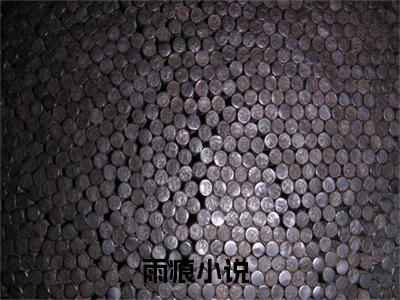 雨痕（周雨晚商渡）全文免费阅读无弹窗大结局_雨痕小说最新章节列表_笔趣阁