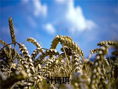 农女不强天不容最后结局如何，叶诗琪强推全文阅读无弹窗