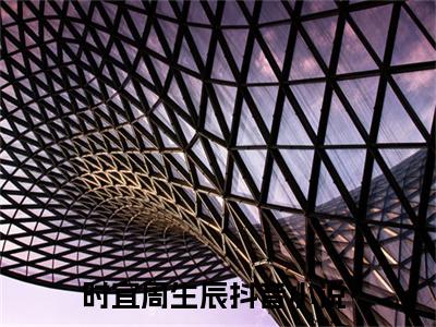 高赞小说时宜周生辰（时宜周生辰小说免费阅读）完结阅读_时宜周生辰小说免费阅读免费看全文