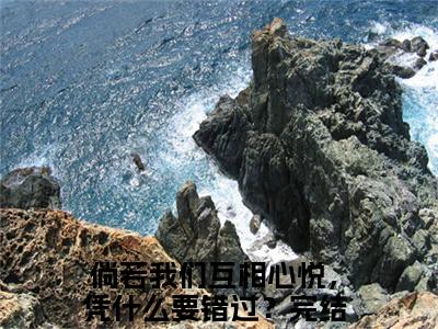 倘若我们互相心悦，凭什么要错过？小说免费阅读-（倘若我们互相心悦，凭什么要错过？）言情小说倘若我们互相心悦，凭什么要错过？讲的是什么
