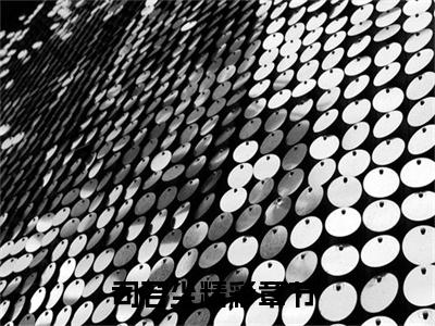 男配飞升请勿扰小说（司若尘）全文免费阅读无弹窗大结局_ (司若尘免费阅读)最新章节列表_笔趣阁（司若尘）